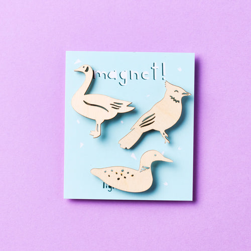 Toronto Birds Wooden Magnets set of 3