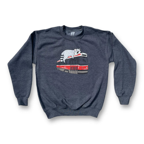 Kids Streetcar Raccoon Sweatshirt (Charcoal)