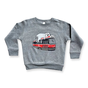 Kids Streetcar Raccoon Sweatshirt (Grey)