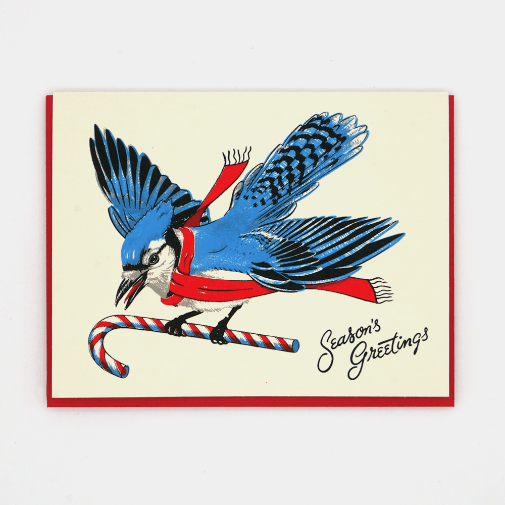 Festive Blue Jay 