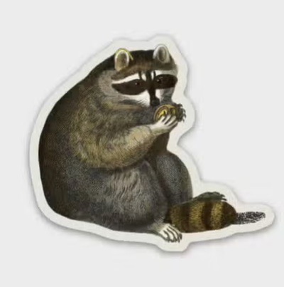 Unbothered Raccoon Vinyl Sticker