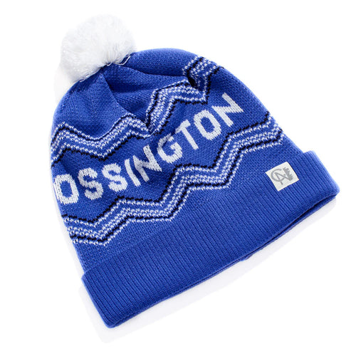 City of Neighbourhoods Ossington Toque (Purple)