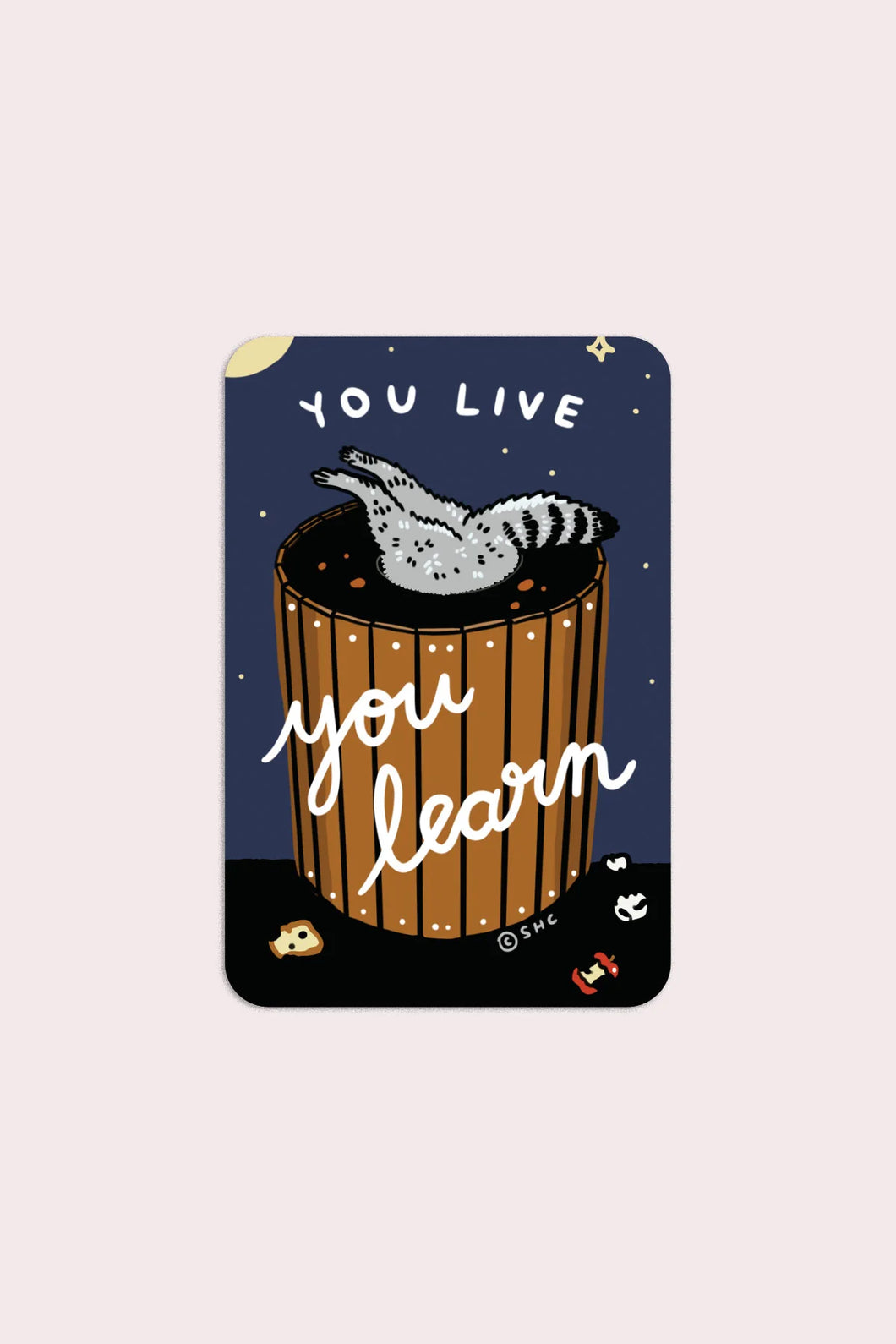 You Live You Learn Raccoon Sticker